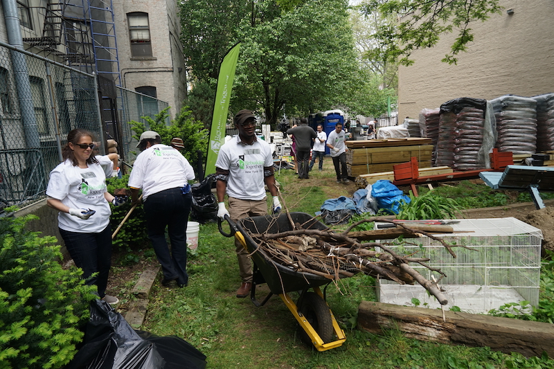 Neglected backyard opens as a community garden - Mott Haven Herald