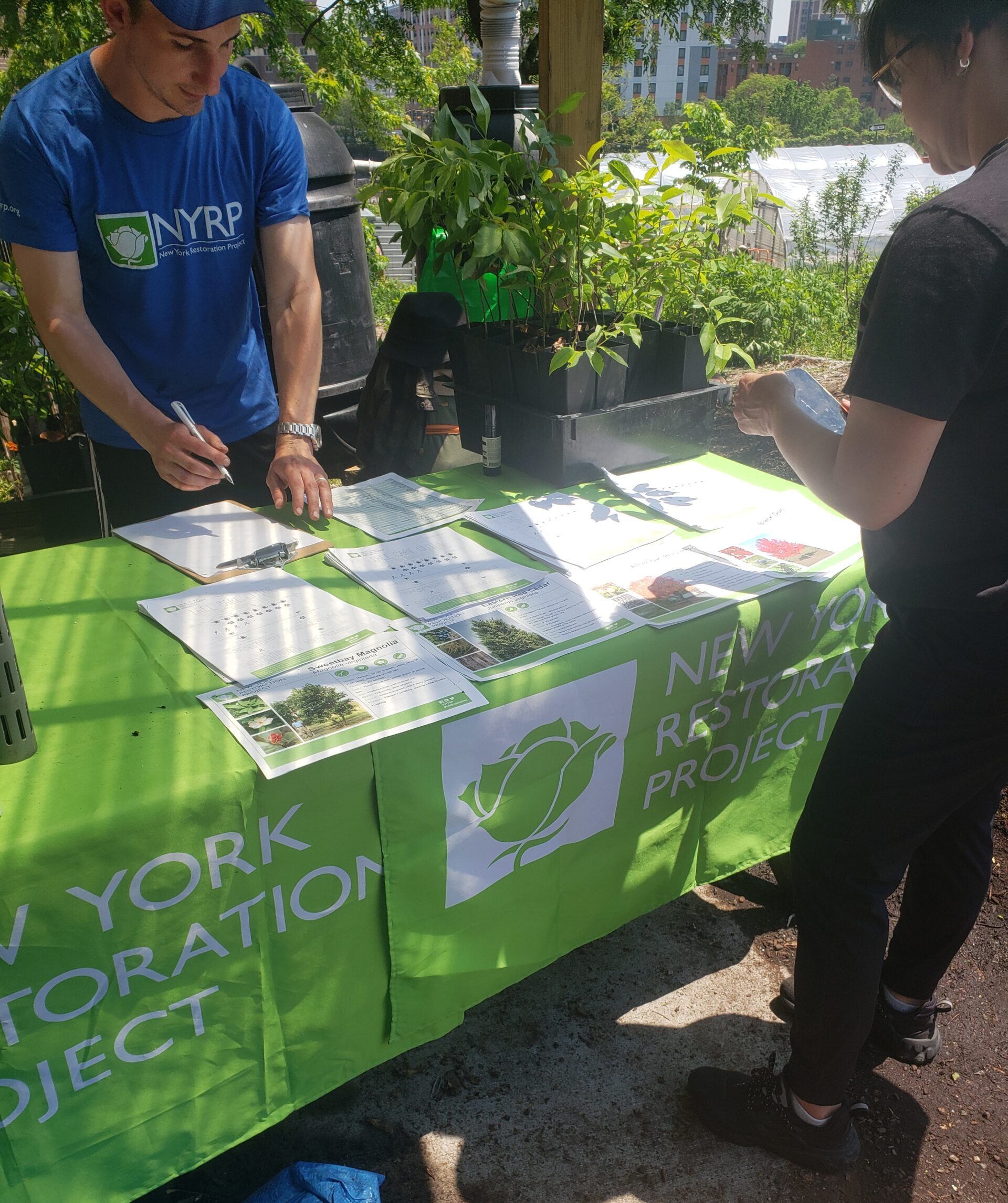 A man in a blue NYRP shirt fills out a form at a table with trees in pots on top. A visitor stands in front of the table.