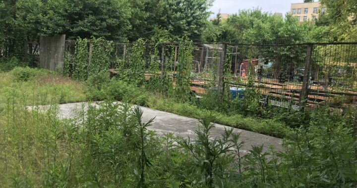 Vacant Melrose lot poses health risk, raises unanswered questions
