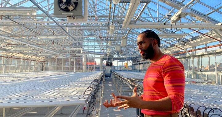 New rooftop greenhouse set to enhance nutrition for Bronxites